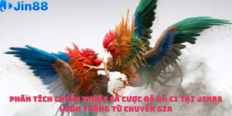 Đá gà - Jin88 - hình ảnh - qqczuneubp.top