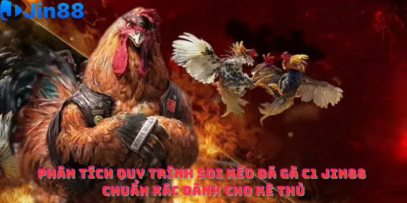 Đá gà C1 Jin88 – Phân tích Chiến thuật cá cược Luôn thắng từ Chuyên gia - hình ảnh - qqczuneubp.top Đá gà C1 Jin88 – Phân tích Chiến thuật cá cược Luôn thắng từ Chuyên gia - hình ảnh - qqczuneubp.top