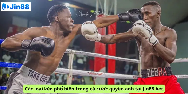 Cá cược quyền anh tại Jin88: Xem ngay mẹo cược boxing hiệu quả - hình ảnh - qqczuneubp.top