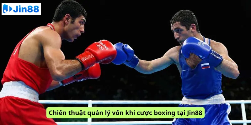 Cá cược quyền anh tại Jin88: Xem ngay mẹo cược boxing hiệu quả - hình ảnh - qqczuneubp.top